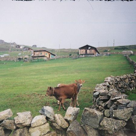 Atakoey Apart Caykara Buitenkant foto