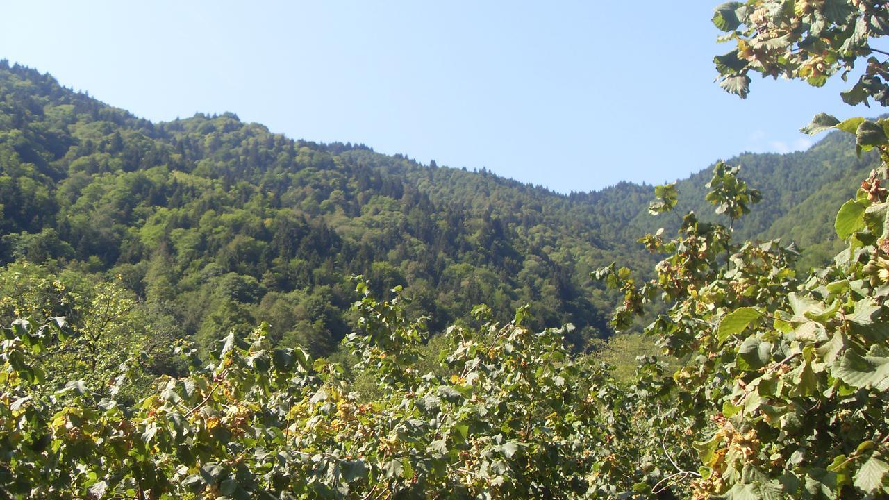 Atakoey Apart Caykara Buitenkant foto