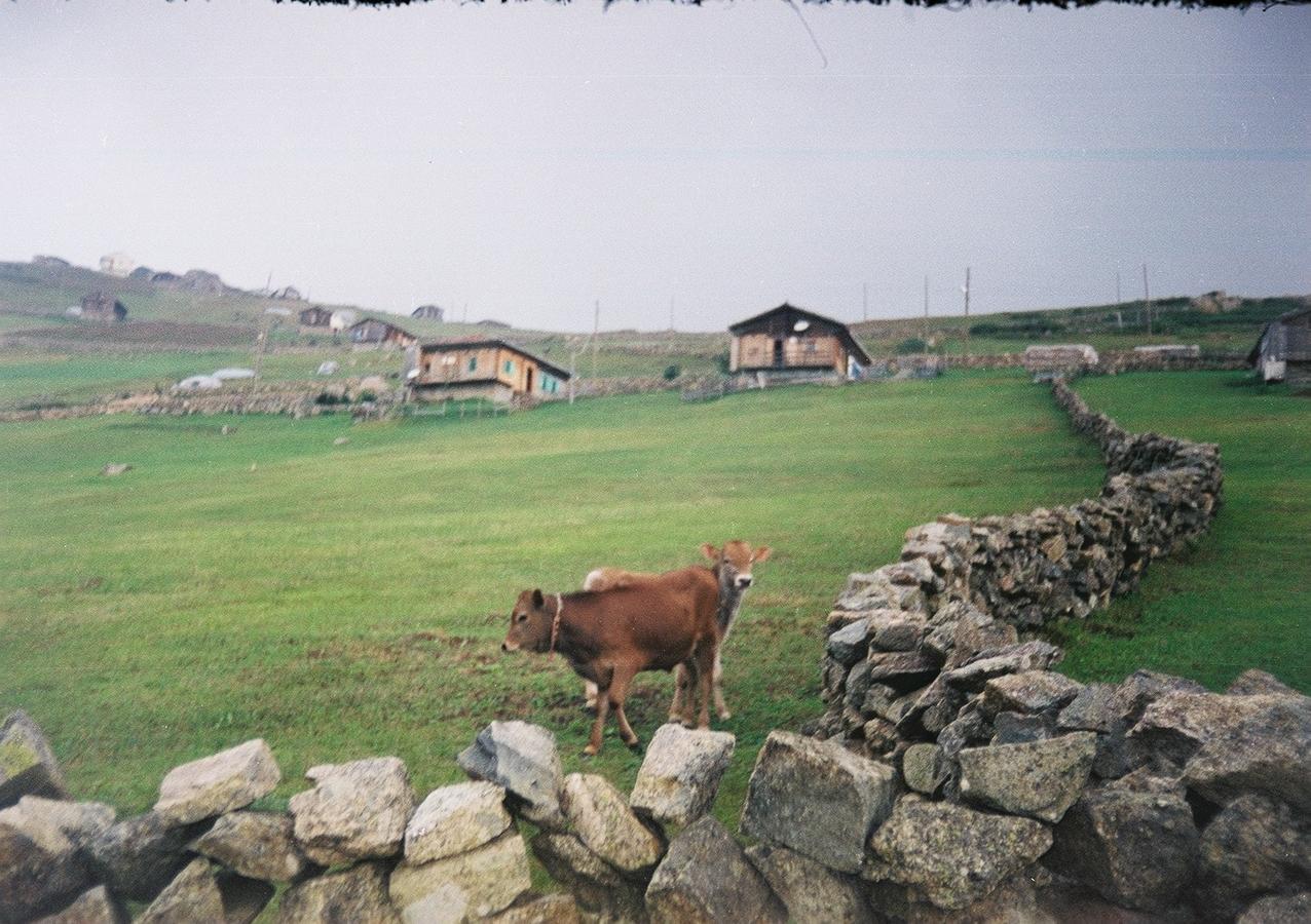 Atakoey Apart Caykara Buitenkant foto