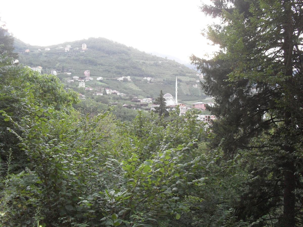 Atakoey Apart Caykara Buitenkant foto