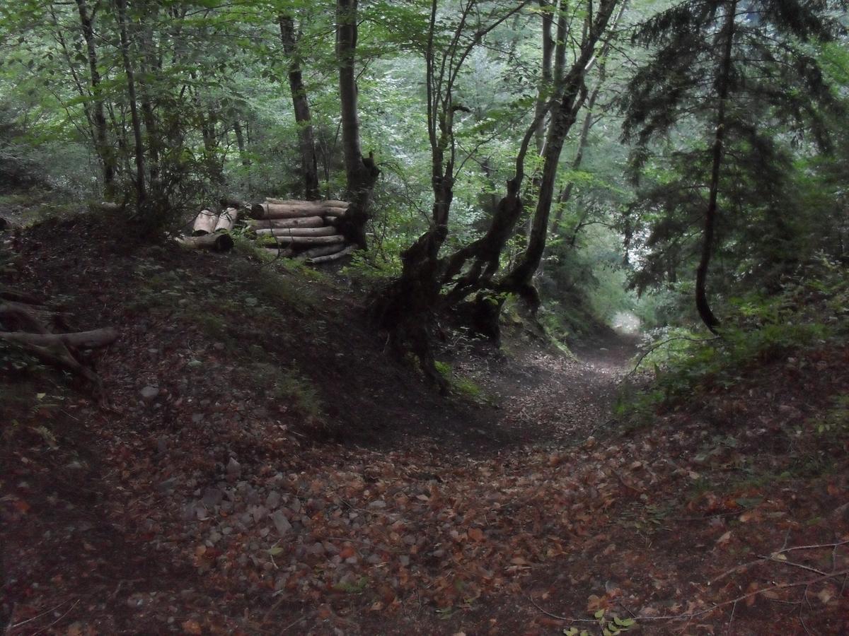 Atakoey Apart Caykara Buitenkant foto