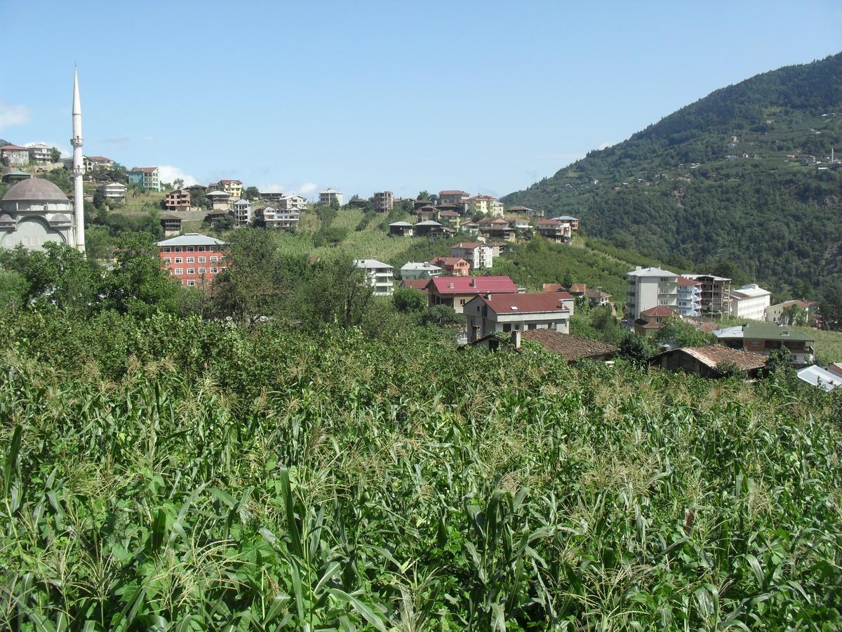 Atakoey Apart Caykara Buitenkant foto